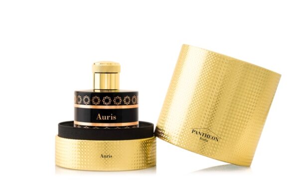 Auris - immagine 3