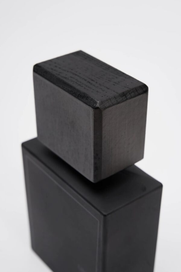LAVS - immagine 3